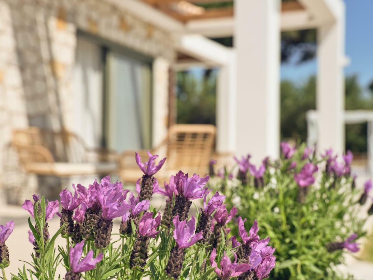 Gerakas Luxury Villas Vasilikí Eksteriør billede
